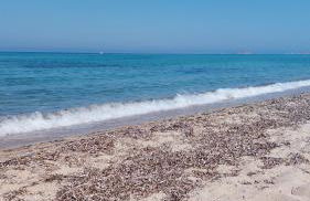 Casa Vacanze di Pieranna - Foto 39