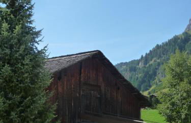 Apartments Residence Alta Badia - Foto 20