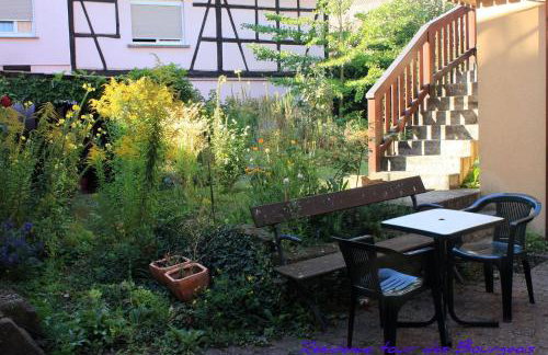 Plein Sud vue sur les Vosges et le vignoble - Foto 42