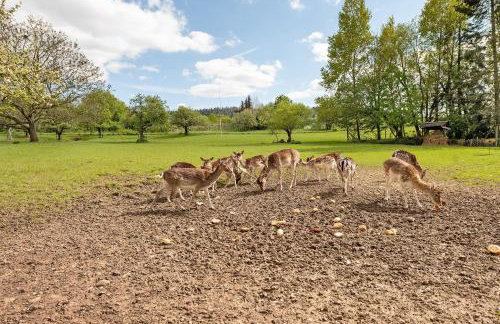 Gästehaus Mühlenhof - Müller-Thurgau - Foto 27