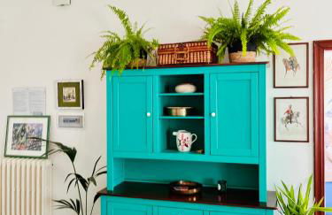 Green House - Foto 7