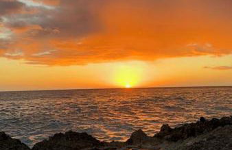 Surfers Dream Studio - Photo 6