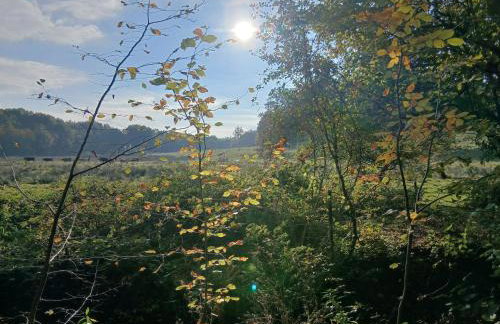 Gite des étangs de Saint Bale - Foto 74