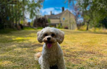 New Hall, Elland - Foto 33