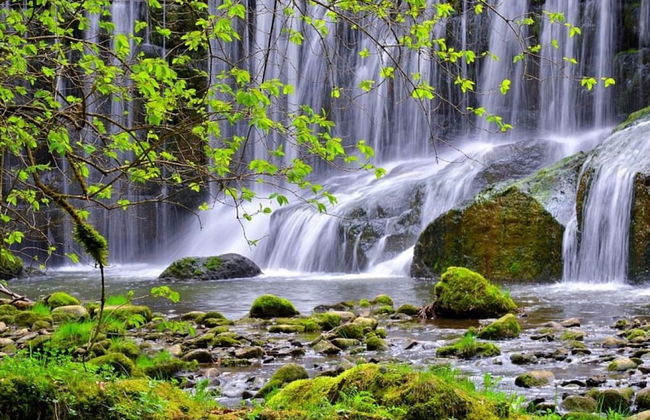 Apartment in Thuringia - Foto 21