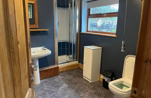 Bryn Rhedyn cottage - Foto 14