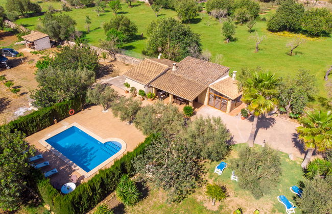 Son Catlar - Photo 6