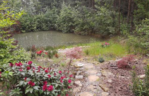 Domek w lesie - Foto 2