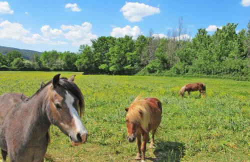 Apartment Laurier by Interhome - Foto 25