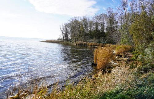 Frühlingserwachen im Haus Wassermann - Foto 55