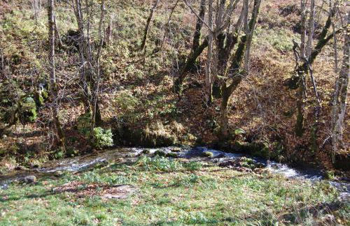 Magnifique T3 entre lac et montagne près d'Annecy - Foto 12