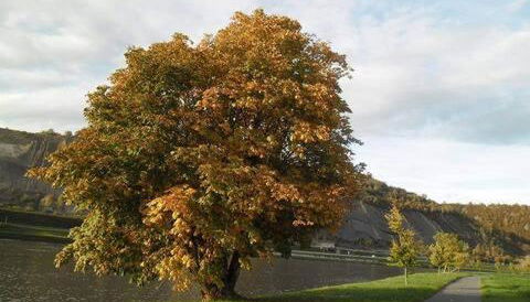 Maison standing vacances professionnel - Foto 3