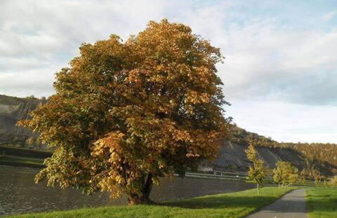 Maison standing vacances professionnel - Foto 3