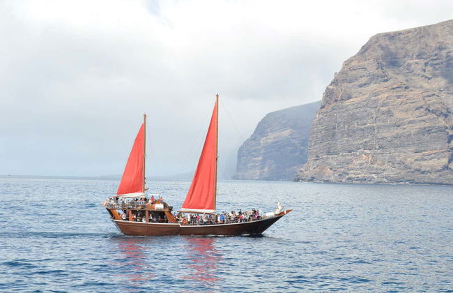 Los Cristianos Dolphin & Whale Watching Trip + Lunch - Photo 5