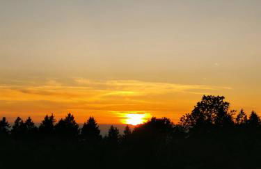 Troidkasten am Grandsberg - Foto 28