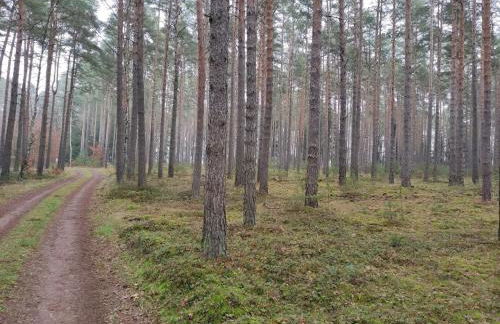 Ferienhaus Erna - Foto 49