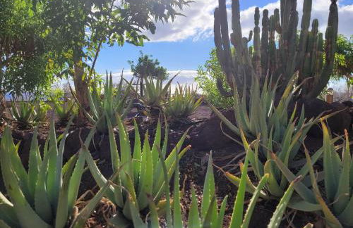 Radazul Paraíso Beach - Dive - Foto 35