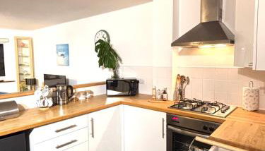 White Lodge Ocean View Apartment Mawgan Porth - Foto 3
