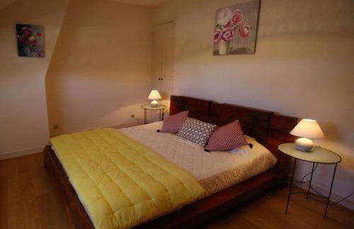 Gîte rustique à Cheverny: nature, tennis, animaux bienvenus, pêche et châteaux de la Loire à proximité - FR-1-491-366 - Foto 5