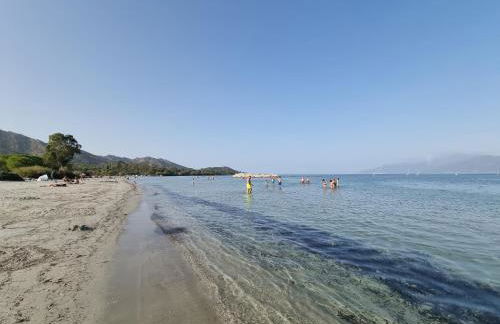 Résidence Saint Florent Oletta - Foto 19