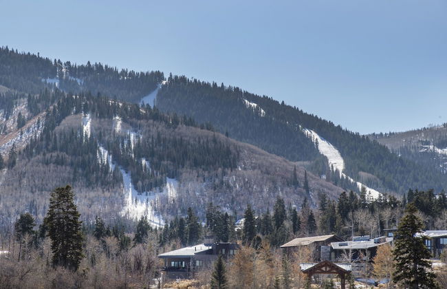 White Pines 1-BD Penthouse at Westgate - Tycoon - Photo 28