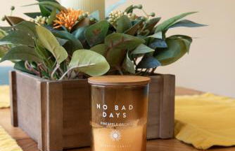 Biker Hiker friendly 3 bedroom by Strouds Run State Park - Foto 28