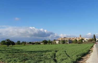 Cal Belló - Foto 63