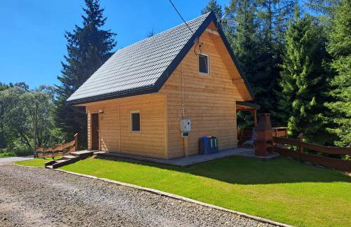 VIA Bieszczady - Foto 43