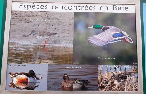 Les Obiones, vue latérale mer, Fort Mahon Plage, magnifique studio cabine 4p, avec balcon , parking privé gratuit, wifi, classé 2 étoiles, exposition plein sud en Baie de Somme - Foto 33