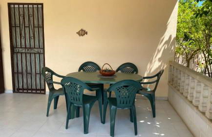 Les oliveres de l'Empordà - Foto 4