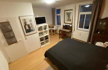 Altes Stadtgut am Bauhaus Museum - Foto 7