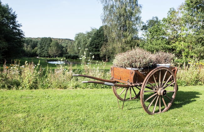 Well Kept House with Fireplace near Forest - Foto 29