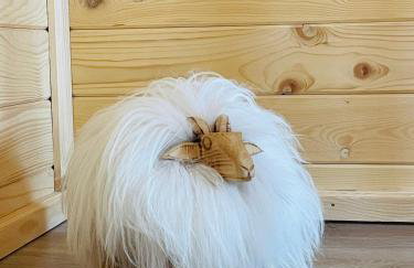 Domek u Hanci z jacuzzi - Foto 33