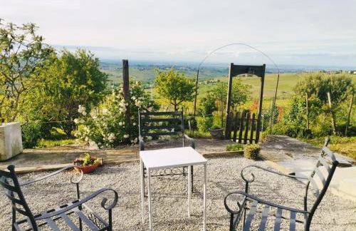 NiFe Tiny House - Secret Garden - Photo 26