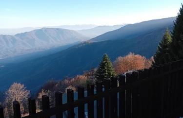 Panoramic Eagle - Photo 28