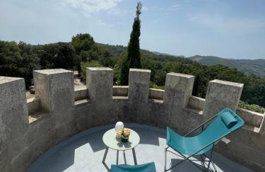 Small Provencal Castle with Swimming Pool, Tennis, Gym & Calm - Foto 11