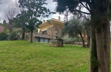 Poggio Gherardo - Foto 23