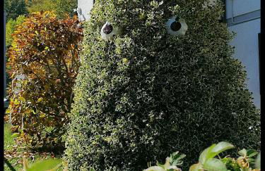 Appartamento La Foresta Abetone - Foto 29