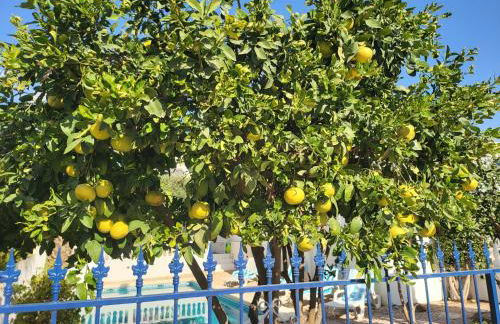 Casa Mabel - Foto 20