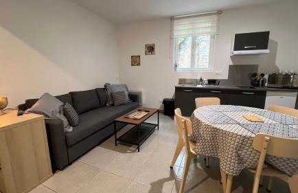 Appartement T2 40 M2 cosy RDC plein centre ville - Foto 14