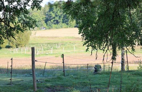 Ferienhaus Bullenberg - Foto 34