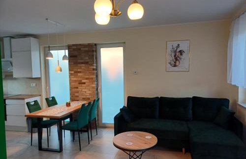 Willa Przygoda - Photo 65