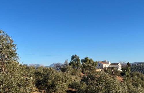 Cortijo La Pedriza - Foto 42