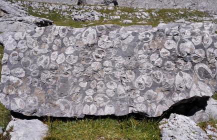 Residenza Caola Sant'Antonio Mavignola - Foto 7