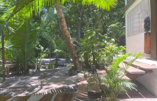 REFUGIO DO SAGRADO MORERE Tropical Lodge - A Casa do Vigía - Foto 52