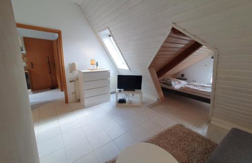 Zentrale Dachwohnung in SHA - Foto 13