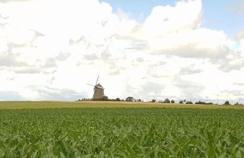 Gîte Timéo Mont Saint-Michel - Foto 45