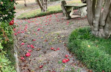 La mia casa sul lago con vista mozzafiato - Foto 51