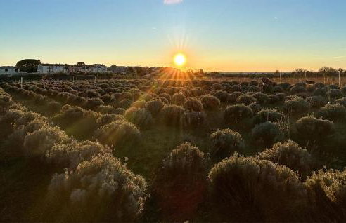 Beautiful Home In Porec With Kitchen - Foto 30