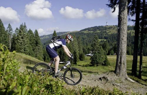 Apartment JoniFee am Titisee - Foto 31